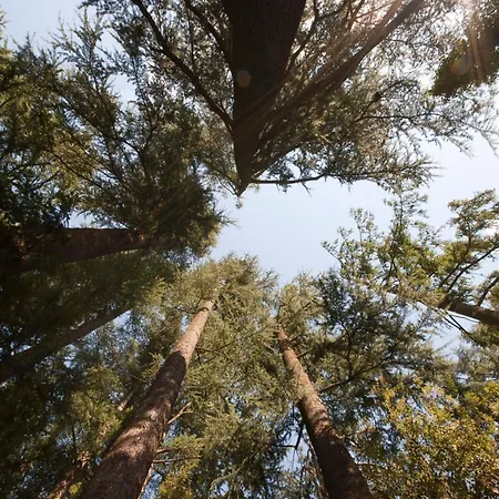 Schloss-castel Pienzenau - Guestrooms & - B&b-hotel & Restaurant 4* Merano