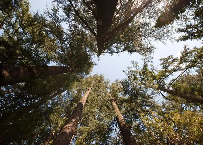 Schloss-castel Pienzenau - Guestrooms & - B&b-hotel & Restaurant 4* メラーノ